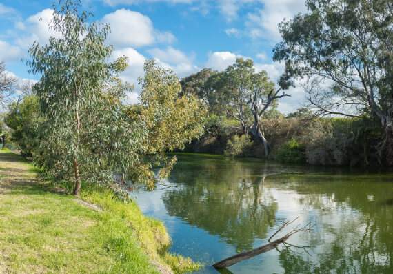 services-consulting-banner