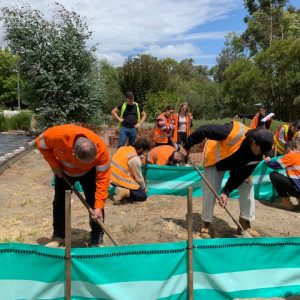 Site Environmental Management - Level 2